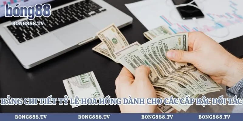 Bảng chi tiết tỷ lệ hoa hồng dành cho các cấp bậc đối tác