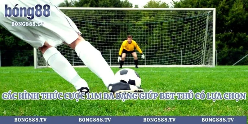 Các hình thức cược 11m đa dạng giúp bet thủ có nhiều sự lựa chọn 