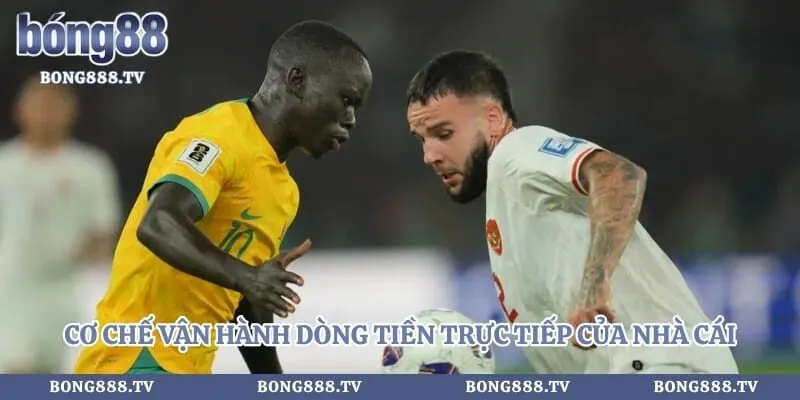 Cơ chế vận hành dòng tiền trực tiếp của nhà cái