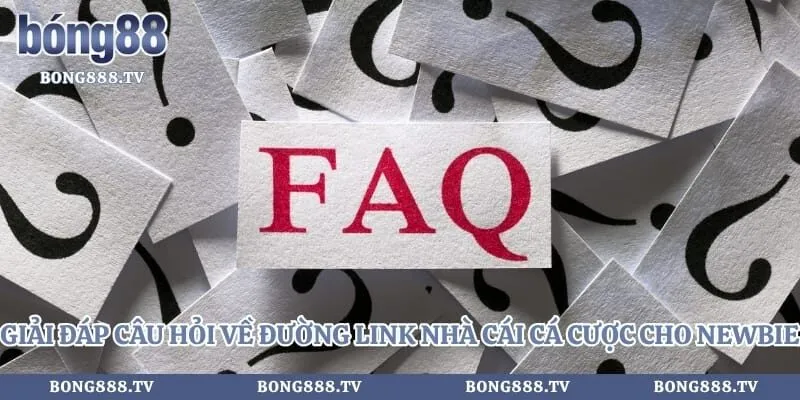 Fo88 - Giải Đáp Câu Hỏi Về Link Vào Nhà Cái Uy Tín 2026 Hình số 4 tại sportportre.com Giải đáp câu hỏi về đường link nhà cái cá cược cho newbie
