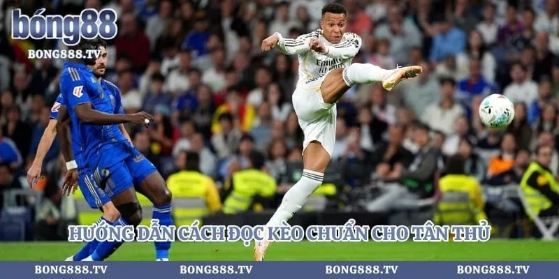 Hướng dẫn cách đọc kèo chuẩn cho tân thủ