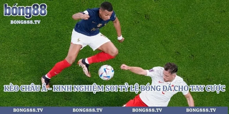 Kèo Châu Á - Kinh Nghiệm Soi Tỷ Lệ Bóng Đá Cho Tay Cược  