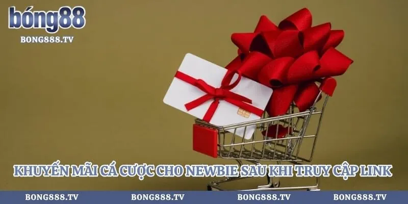 Khuyến mãi cá cược cho newbie sau khi truy cập link chuẩn