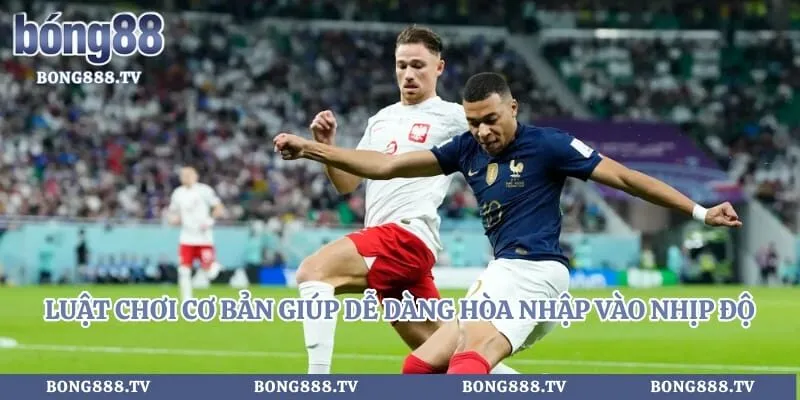 Luật chơi cơ bản giúp dễ dàng hòa nhập vào nhịp độ cá cược