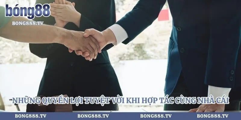 Những quyền lợi tuyệt vời khi hợp tác cùng nhà cái
