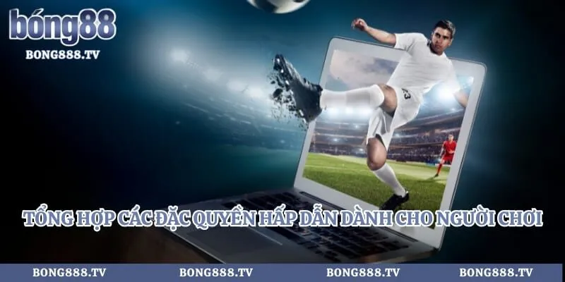 Tổng hợp các đặc quyền hấp dẫn dành cho người chơi 