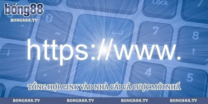 Tổng hợp link vào nhà cái cá cược mới nhất không bị chặn